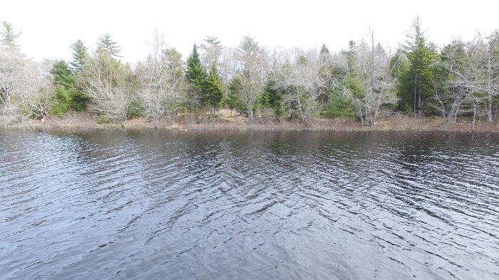 WentworthHalbinsel (97)